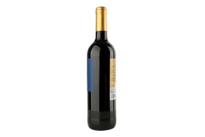 Вино 0.75л 12% красное сухое Tinto Seco Bons бут