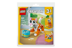Конструктор для дітей від 6років №30714 Orange cat Creator Lego 79ел