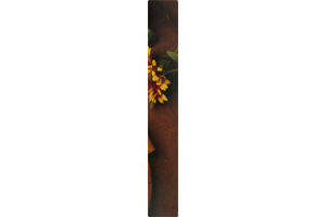 Amy's Pizza Soy Cheeze