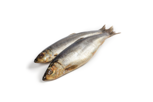 Сельдь слабосоленая