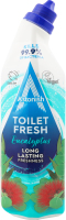 Гель д/чищення та дезінфекції унітазів Eucalyptus 750мл Astonish
