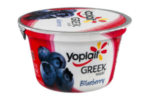 Yoplait Fat Free Greek Yogurt Blueberry