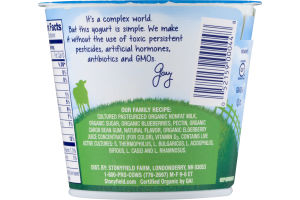 Stonyfield Organic Fruit on the Bottom Nonfat Yogurt Fat Free Blueberry
