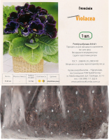 Бульба Глоксінія Віолацея Яскрава