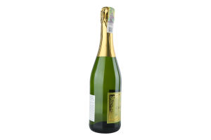 Вино игристое 0.75л 11% белое полусухое Cheri d'Amour бут