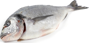 Дорада 300-600 охлажденная ПР