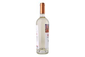 Вино 0.75л 12.5% біле сухе Pinot Grigio Aurvin пл