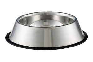 Companion Stainless Steel Bowl
