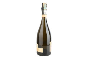 Вино ігристе 0.75л 10-13.5% біле напівсолодке натуральне Special edition Shabo пл