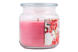 Свічка ароматична Frosted cranberry скло 350г Пако ІФ