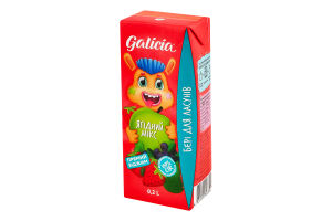 Сок с мякотью из смеси фруктов Ягодный микс Galicia т/п 0.2л