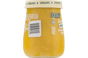 Beech-Nut Organic Mango, Chicken, Curry & Rice Stage 3