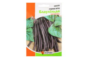 Насіння Квасоля витка Блаухільде фіолетова пакет гігант 10г Яскрава