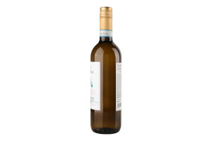 Вино 0.75л 12% біле сухе DOC Піно Гріджіо Terra Italianica пл