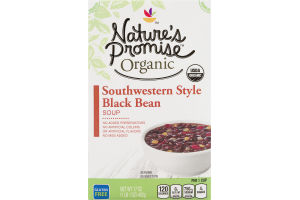 Nature's Promise Organic Soup Southwestern Style Black Bean