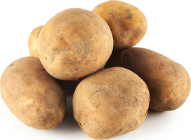 Картофель сорт Королева Анна