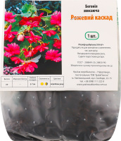 Бульба Бегонія Рожевий каскад звисаюча Яскрава