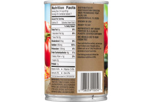 SE Grocers Select Diced Tomatoes Fire Roasted Salsa Ready