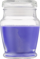 Smart Living Spring Scented Candle Violets