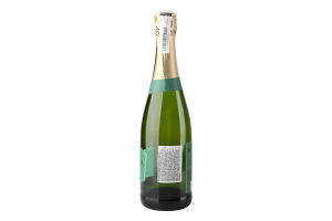 Вино ігристе 0.75л 11% біле напівсухе Cava Monistrol пл