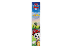 Набір ігровий Спорядження рятувальної місії Paw Patrol