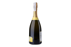 Вино ігристе 0.75л 11% біле екстрасухе Prosecco Superiore Valdobbladene Porta Leone пл