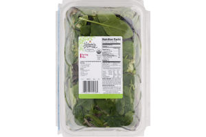 Nature's Promise Organic Spring Mix