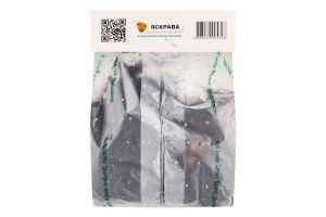 Цибулина Лілія Діззі орієнтальна Яскрава