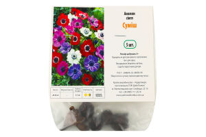 Бульба Анемон сінгл суміш 5шт Яскрава