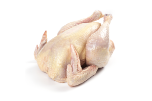 Петух домашний