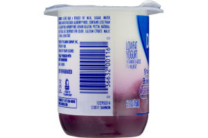 Dannon Fruit on the Bottom Lowfat Yogurt Mixed Berry