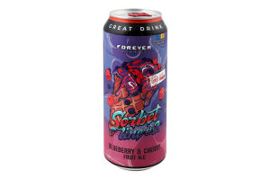 Пиво 500мл 4.5% светлое нефильтрованное Blueberry&Cherry Fruit Ale Sorbet line 2 Forever ж/б