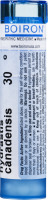 Boiron Hydrastis Canadensis 30 C - 80 CT