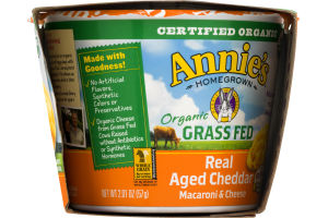 Annie's Homegrown Organic Real Aged Cheddar Macaroni & Cheese - 2 CT