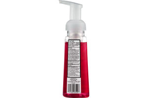 CareOne Antibacterial Foaming Hand Soap Country Apple