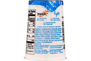Yoplait Light Fat Free Yogurt Red Raspberry