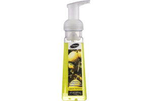 CareOne Antibacterial Foaming Hand Soap Lemon Verbena