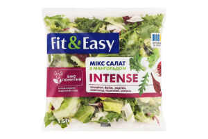 Салат Інтенз 150г п/е Фіт енд Ізі