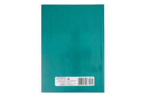 Книга обліку А4 клітинка офсет тверда обкладинка 80аркушів Аркуш