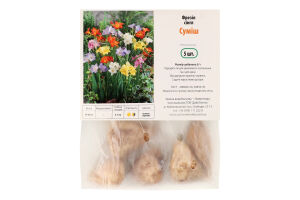 Бульба Фрезія Сінгл суміш 5шт Яскрава