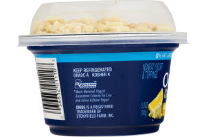 Dannon Oikos Nonfat Yogurt Crunch Lemon Shortbread