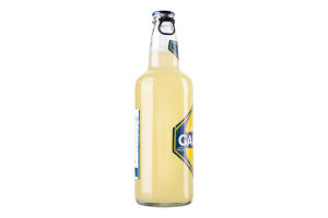 Пиво специальное 440мл 4.4% светлое пастеризованное Taste Lemon Seth&Riley's Garage бут