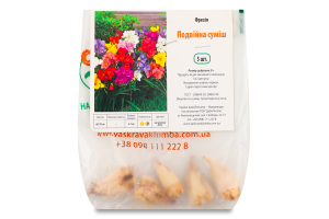 Бульба Фрезія подвійна суміш 5шт Яскрава