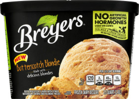 Breyers Frozen Dairy Dessert Butterscotch Blondie