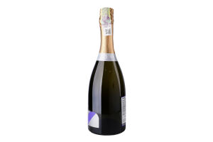 Вино игристое 0.75л 11% белое брют Prosecco Porta Leone бут