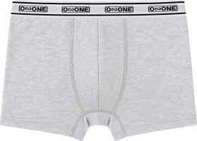 Труси чоловічі Ozone боксери сірий S-2XL