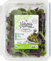 Nature's Promise Organic Spring Mix