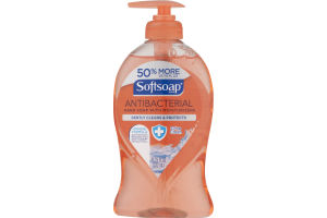 Softsoap Antibacterial Hand Soap Crisp Clean