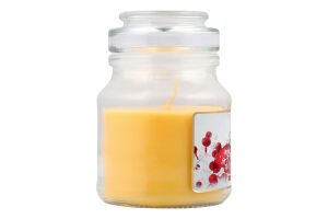 Свічка ароматична ТО205 Ананас-Апельсин скло Пако ІФ