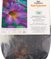 Цибулина Лілія ЛО Пінк Перфекшн трубчаста Яскрава